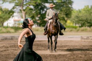 puro-sabor-2016-horse-show-10